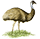 emu